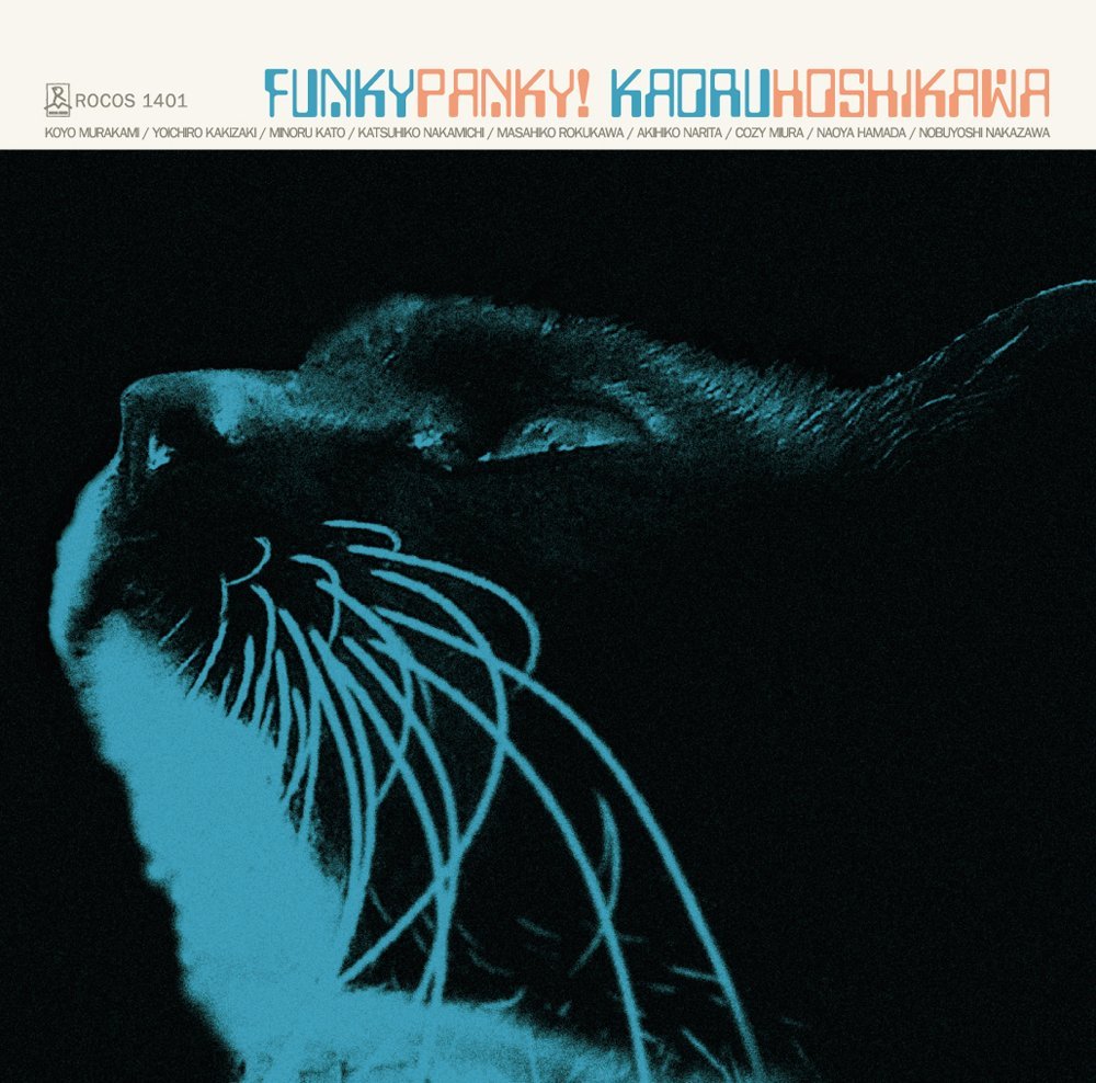 Plain Ol' Funky Song